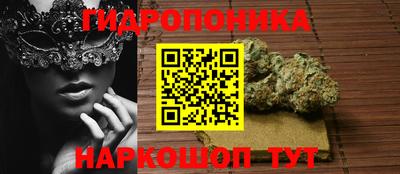 прущие крисы Донецк