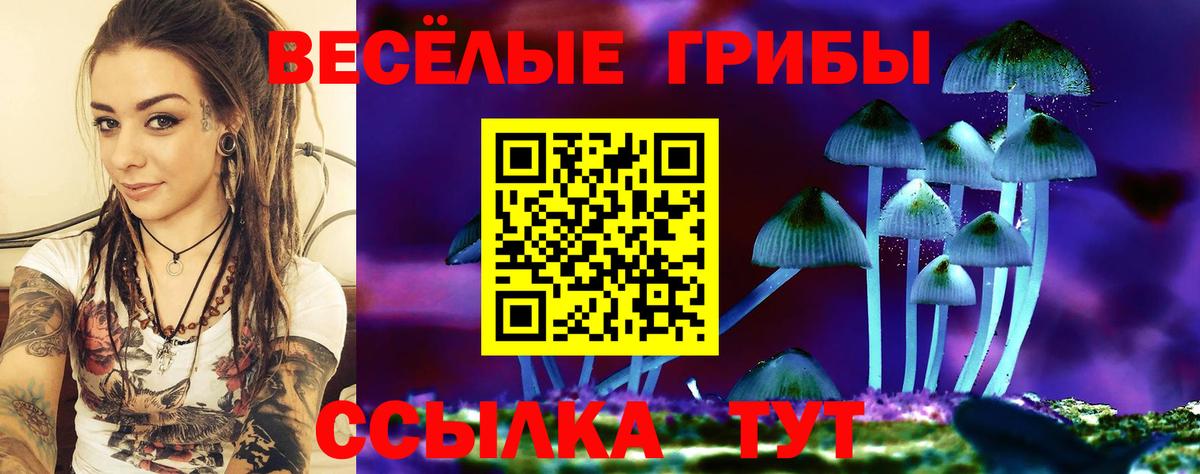 Галлюциногенные грибы мухоморы  Псилоцибиновые грибы прущие грибы  Вход с VPN  Майкоп 
